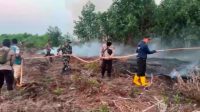 Satgas Karhutla Gabungan Temukan dan Padamkan Titik Api Saat Patroli Karhutla di Tahura Batanghari