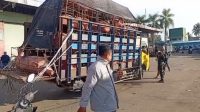 Truk Babi Diduga Milik Pejabat Daerah Masuk Pelabuhan Gunungsitoli, Larangan Pemko Dipertanyakan