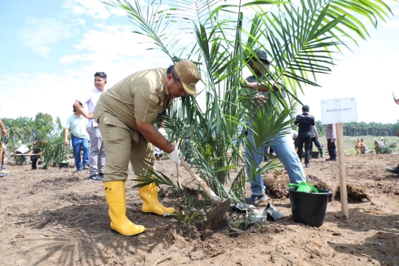 Tanam Perdana PSR dan Padi Gogo, Bupati Asahan Dorong Petani Tingkatkan Produktivitas Lahan