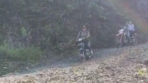 23 Tahun Pakpak Bharat Mekar, Jalan ke SD Negeri 036568 Sibongkaras Rusak Parah, Guru Perempuan Bertaruh Nyawa