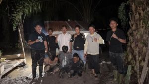 Polsek Kualuh Leidong Gerebek Gubuk di Kebun Sawit, Tiga Pria Diamankan dan 10,68 Gram Sabu Disita