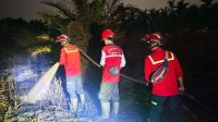 Tim Gabungan Tangani Kebakaran Lahan di Desa Manis Mato, Muaro Jambi