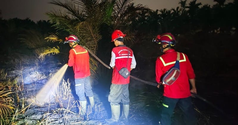 Tim Gabungan Tangani Kebakaran Lahan di Desa Manis Mato, Muaro Jambi