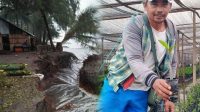 Mangrove Berkah Ekonomi, Abrasi Langkat Mengancam Maut