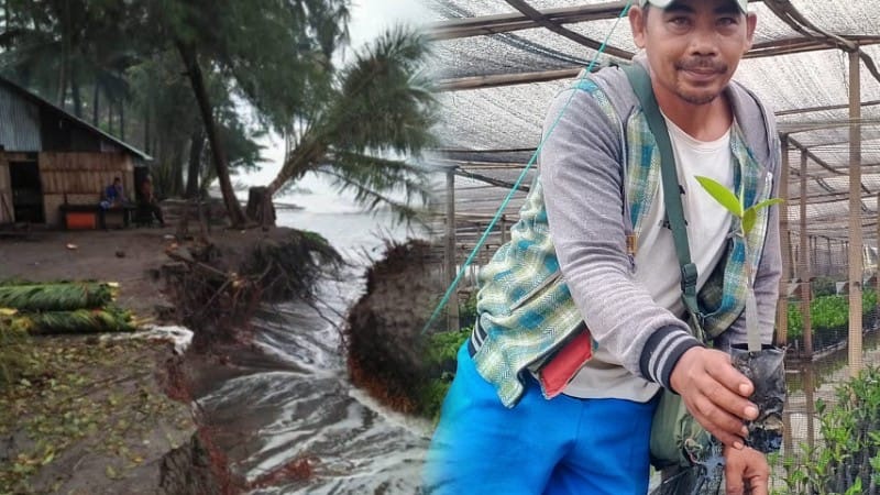 Mangrove Berkah Ekonomi, Abrasi Langkat Mengancam Maut