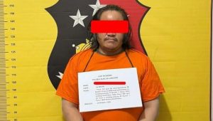 OSN Polsek Kualuh Leidong Bongkar Gubuk Diduga Lapak Sabu, Terduga dan BB 19,02 Gram Diamankan