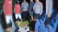 Diduga Transaksi Sabu di Kebun Sawit, Pria Asal Rantauprapat Diciduk Polsek NA IX-X