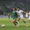 Drama 2 Kartu Merah! PSMS Medan Paksa PSIS Pulang Tanpa Poin