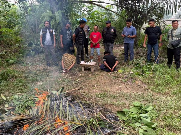 Operasi Sarang Narkoba di Bilah Hulu, Dua Pria Diamankan, Polisi Buru Sosok Berinisial Diki