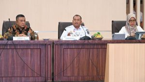 Pemprov Sumut, Kementerian ESDM, dan PLN Perkuat Sinergi Kejar Target 100% Listrik Desa