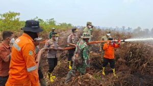 Wakapolda Jambi Pantau Penanganan Karhutla, Patroli Udara Temukan Titik Api di Labuhan Pering dan TNB Sembilang