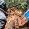 Dugaan Illegal Logging Marak di Kuta Jungak Pakpak Bharat, Warga Minta Polisi Bertindak